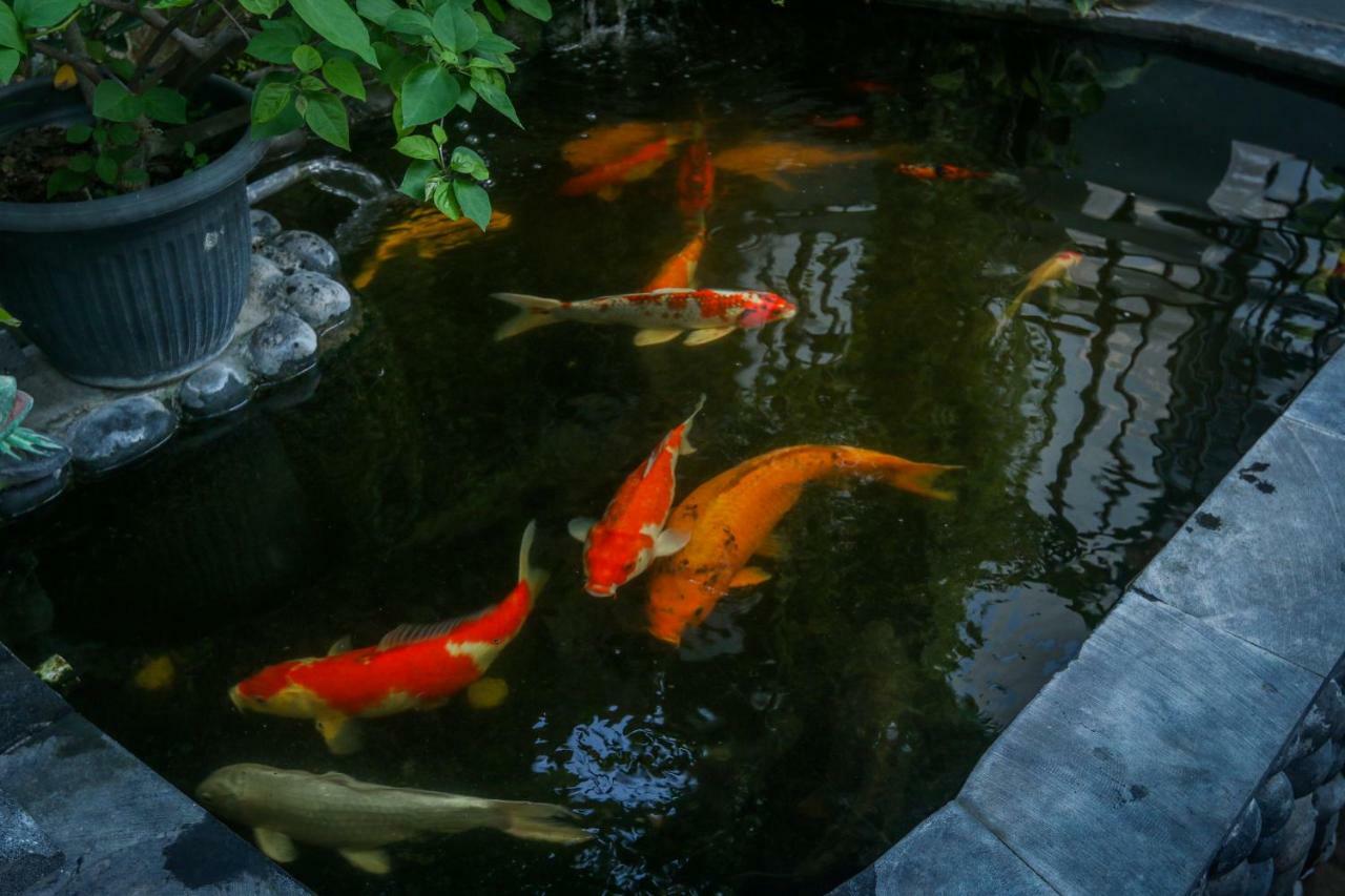 Sekar Waru Homestay Sanur Buitenkant foto